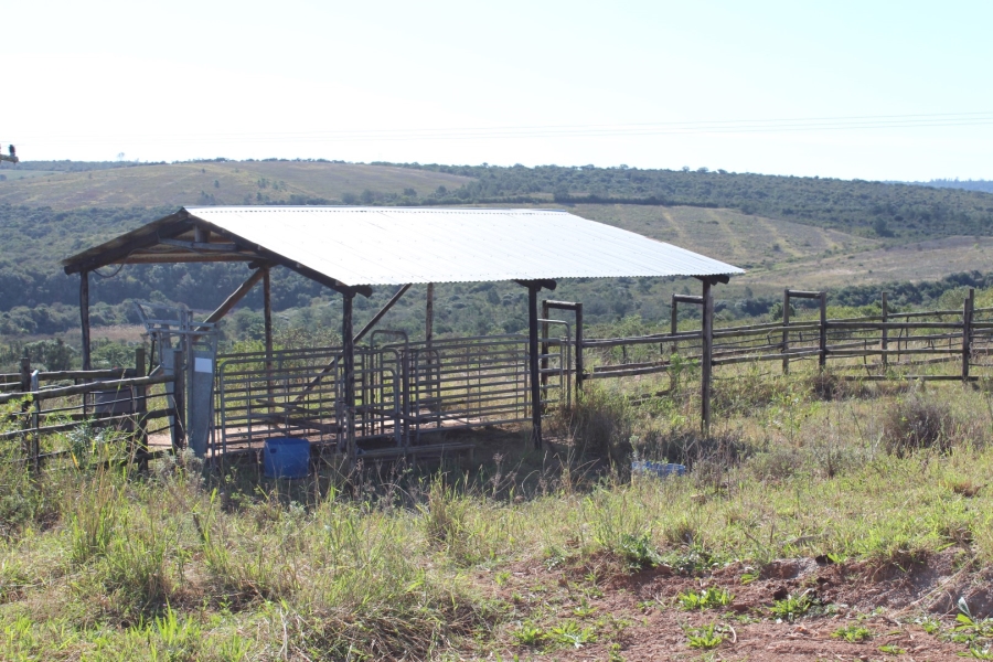 3 Bedroom Property for Sale in Bathurst Eastern Cape
